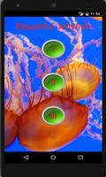 Beautiful Jellyfish Pics capture d'écran 1