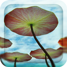 3D Water Lilies Live Wallpaper-icoon