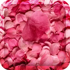 Flower Petals 3D Wallpaper HD APK Herunterladen