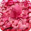 Flower Petals 3D Wallpaper HD APK