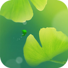 Green Apricot Leaf icon