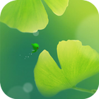 Green Apricot Leaf أيقونة