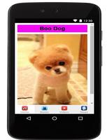 boo dog ภาพหน้าจอ 1