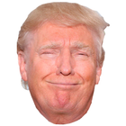 Fibblie Trump ไอคอน