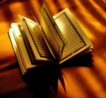 Quran With Urdu Translations syot layar 1