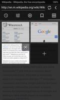 Fullscreen Browser screenshot 3