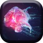 Amazing Jellyfish Live ikona