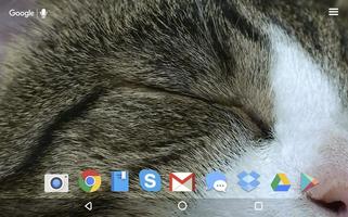 Cute Cat Live Wallpaper capture d'écran 1
