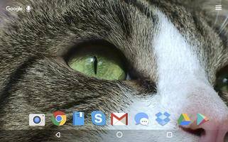 Cute Cat Live Wallpaper capture d'écran 2