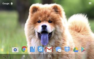 かわいいチャウチャウ 犬 ライブ壁紙 スクリーンショット 3