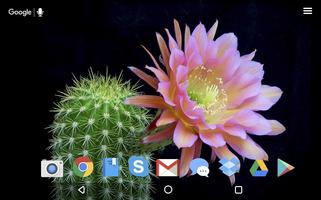 Cactus Fleurs  Live Wallpaper capture d'écran 3