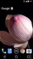 Lotus Flower Time Lapse Live تصوير الشاشة 1