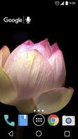 Lotus Flower Time Lapse Live syot layar 2