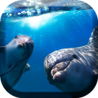 Lovely Dolphins Live Wallpaper आइकन