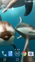 사랑스러운 돌고래 라이브 배경 화면 포스터