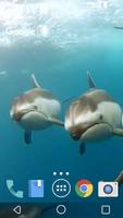 Lovely Dolphins Live Wallpaper ảnh chụp màn hình 1