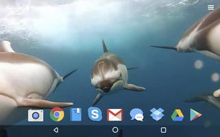사랑스러운 돌고래 라이브 배경 화면 스크린샷 3