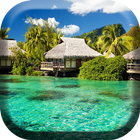 Paradise Island Live Wallpaper icon