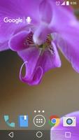 Pretty Orchids Live Wallpaper plakat