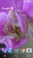 Pretty Orchids Live Wallpaper 截圖 1