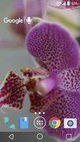 Pretty Orchids Live Wallpaper 截圖 2