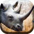 Поцелуй носорога живые обои иконка