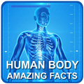 Amazing Facts About Human Body