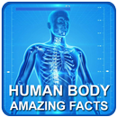 Faits étonnants  corps humain APK