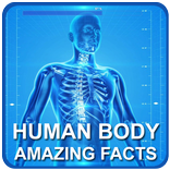 Verbazingwekkende feiten over