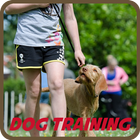 Dog Training Apps icône