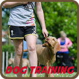 Dog Training Apps