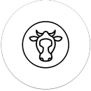 Dairy Diaries APK