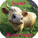 Смешные звуки животных в мп3 APK