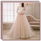Color Full Wedding Dress Ideas icône
