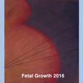 Fetal Growth 2016