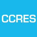 Cross-Channel Retail Executive