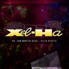 Xel-Ha Reggaeton 아이콘