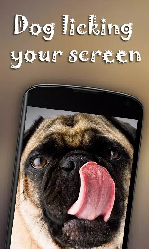 Dog Licks Screen Wallpaper APK for Android Download Dog Licks Screen Wallpaper APK for Android Download