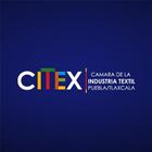 CITEX 圖標