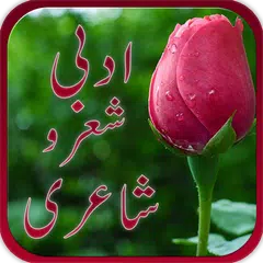 download Adabi Shair-o-Shairy APK