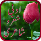 Adabi Shair-o-Shairy icône
