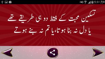 Urdu Shair-o-Shairy screenshot 2