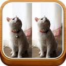 Find Differences APK