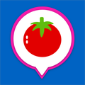 Taste IT: Italian Cuisine Chat