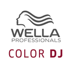 Color DJ icône
