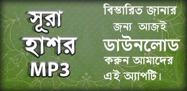 সূরা হাশরের শেষ তিন আয়াত অডিও - sura hasor bangla