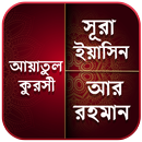 সূরা ইয়াসিন - সূরা আর রহমান - আয়াতুল কুরসি APK