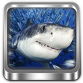 Shark Rampage 3D