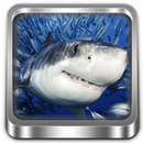 APK Shark Rampage 3D