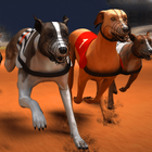 Greyhound Dog Racing Simulator icône